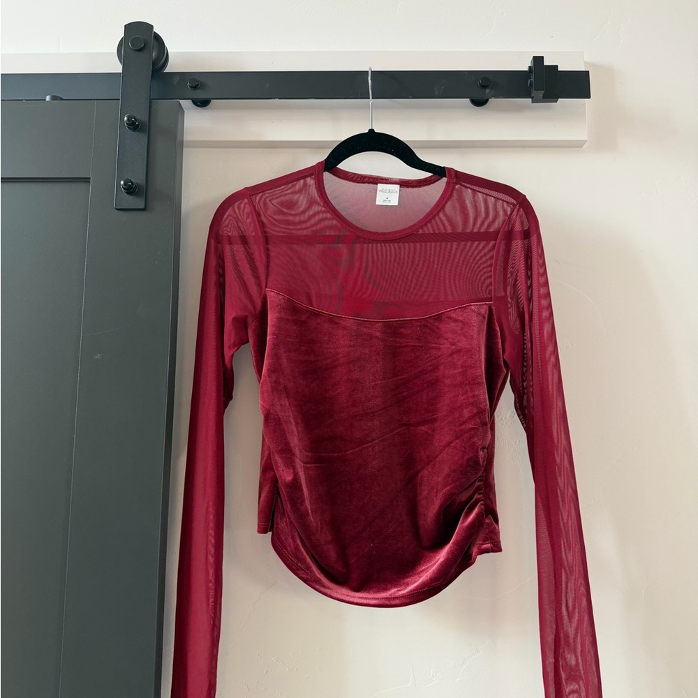 Wild Fable Red Sheer Velvet Long Sleeve Top ✨